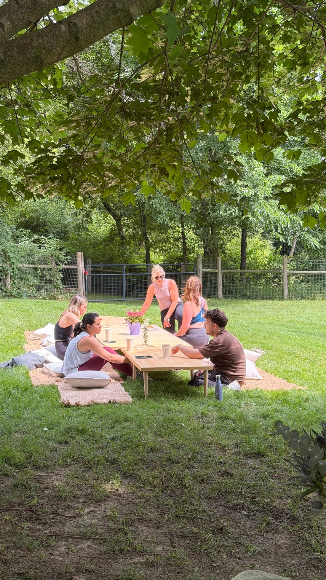 Brunch with Alpacas: A Unique Farm Wellness Experience to Start Your Summer