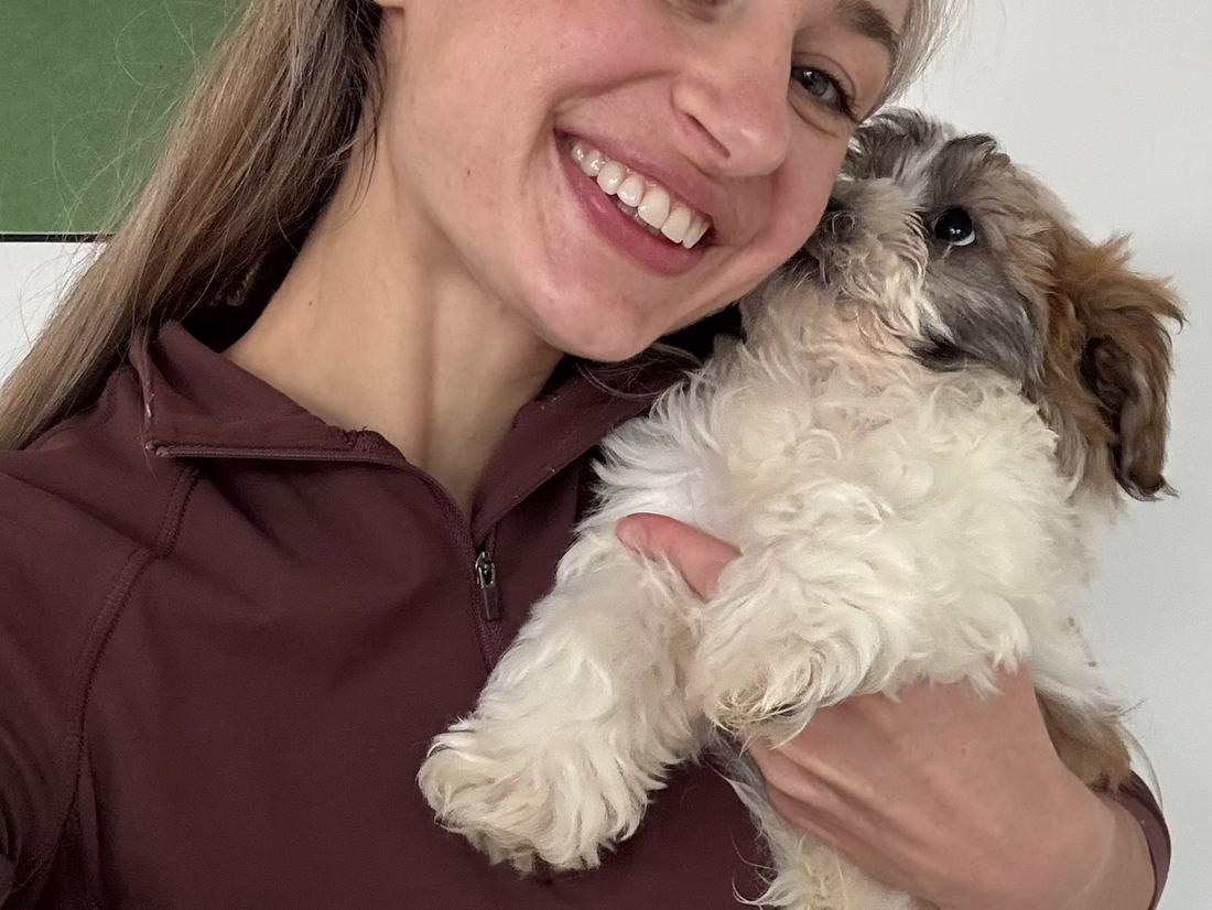 November Puppy Yoga Announcement
