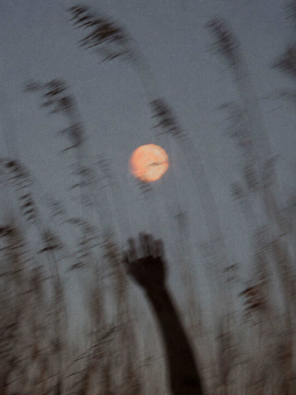 Moon Sound Bath