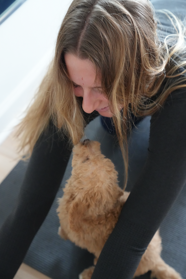 Private puppy yoga session at the studio