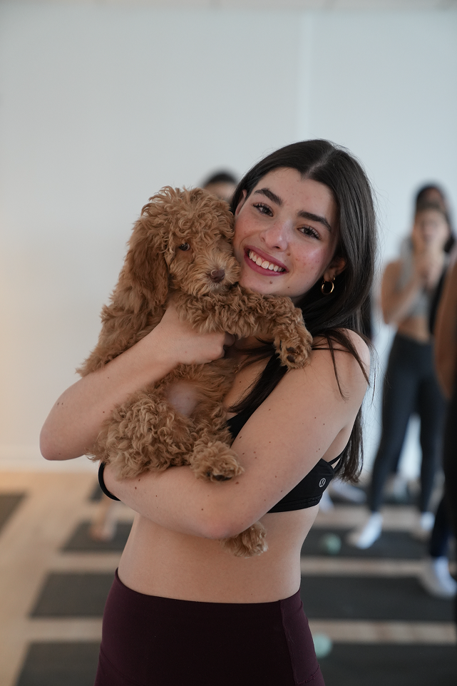 Private puppy yoga session at the studio