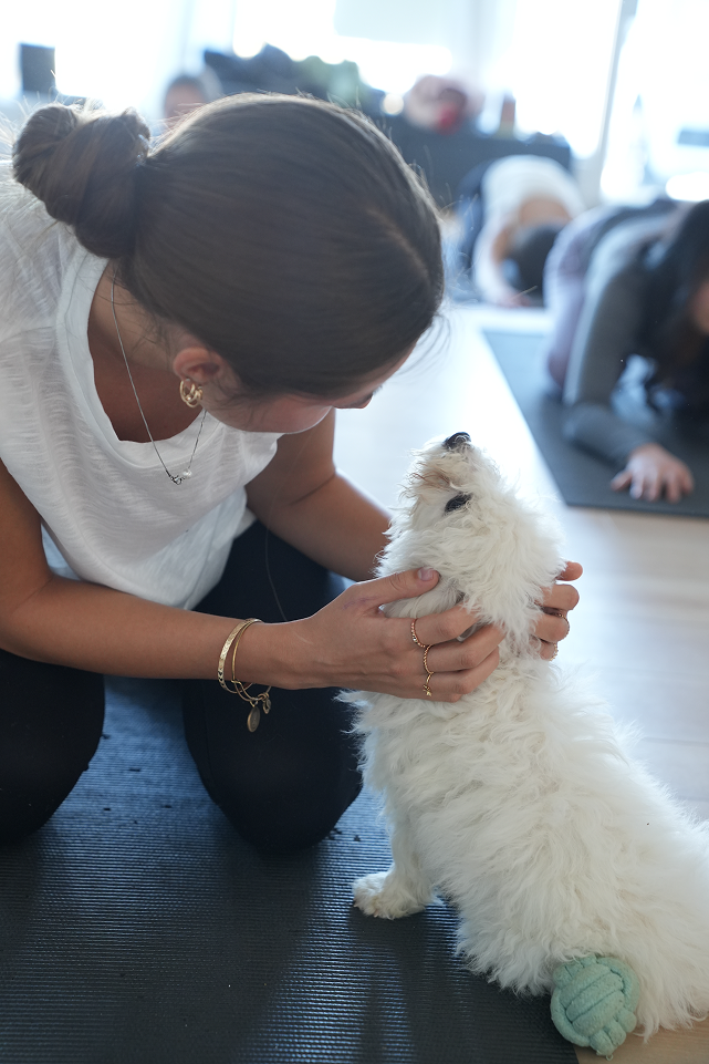 Private puppy yoga session at the studio