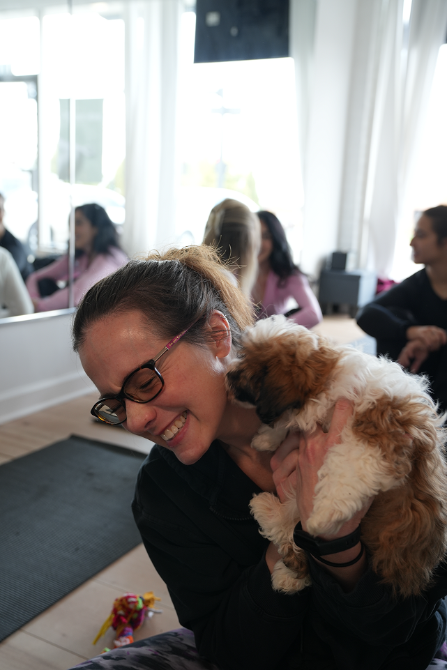 Private puppy yoga session at the studio