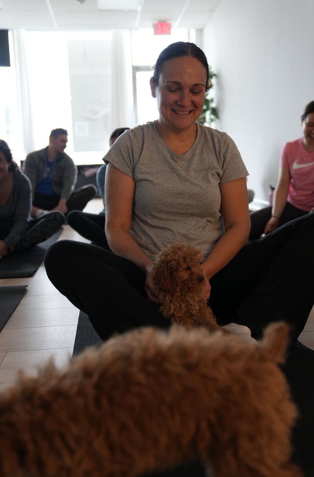 Puppy yoga every Saturday