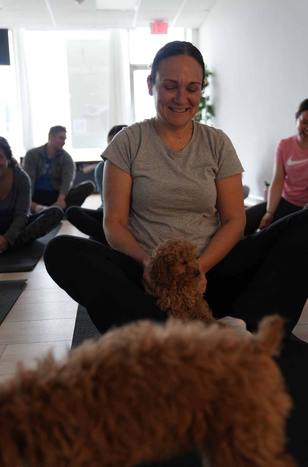 Puppy yoga every Saturday