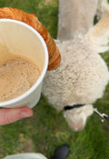 Llama & Alpaca Yoga & Brunch