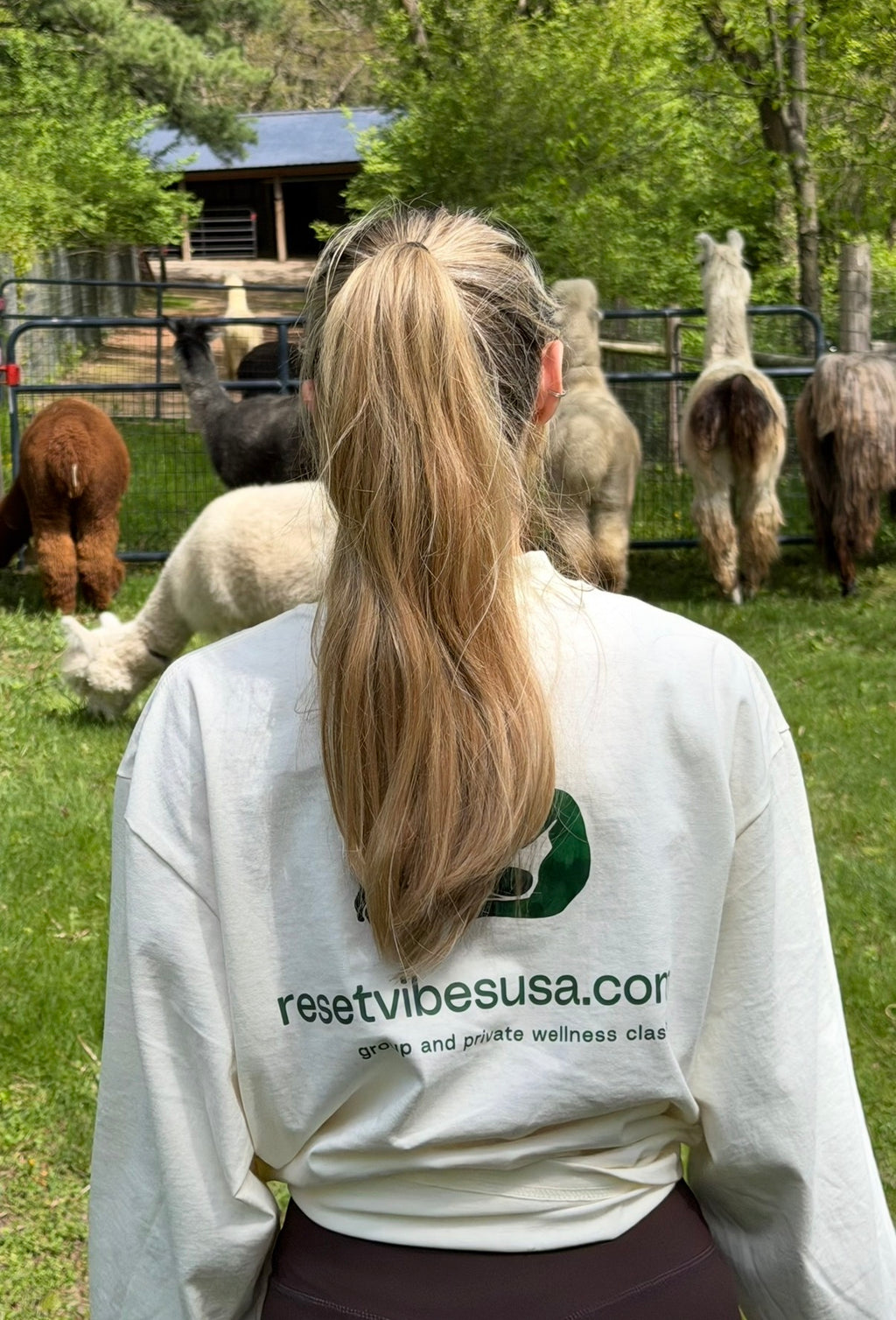 Llama & Alpaca Yoga & Brunch