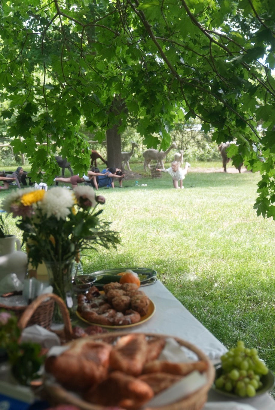 Llama & Alpaca Yoga & Brunch