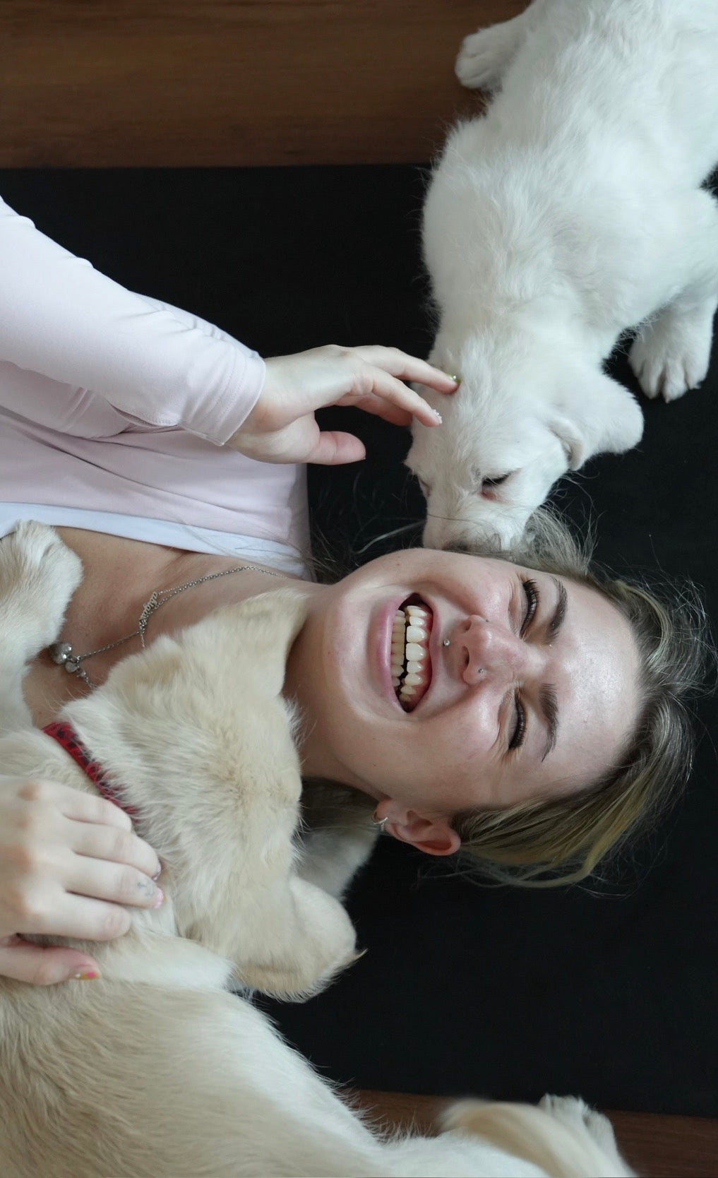 Puppy Pilates. The happiest Pilates class you’ll ever take!