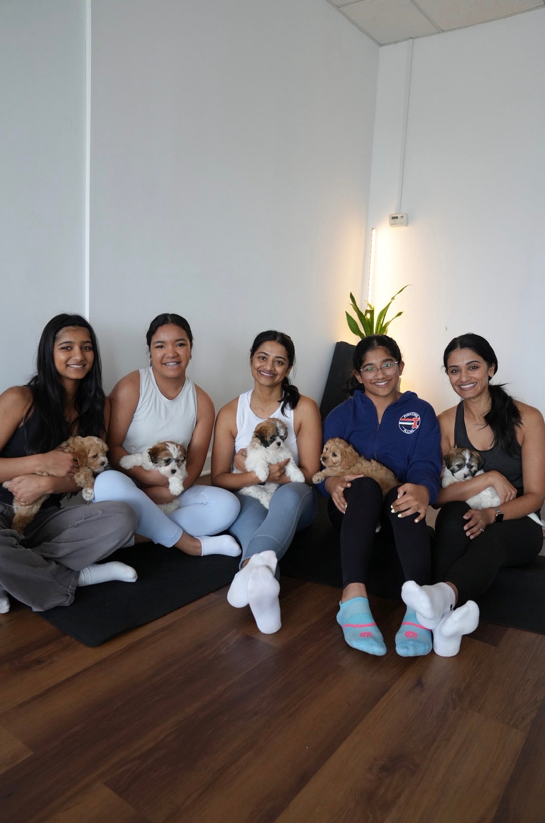 Puppy Pilates. The happiest Pilates class you’ll ever take!