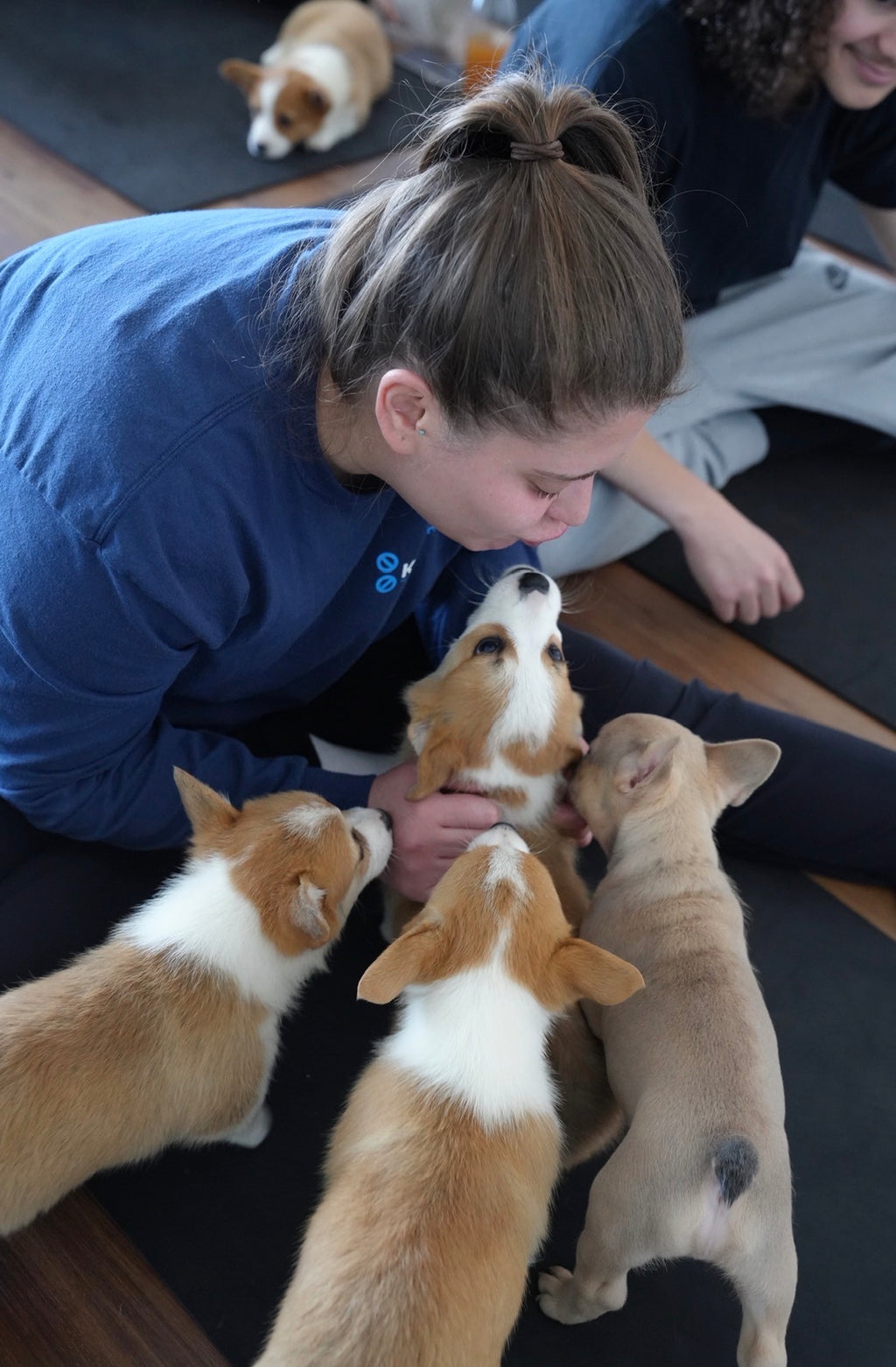 Puppy Pilates. The happiest Pilates class you’ll ever take!
